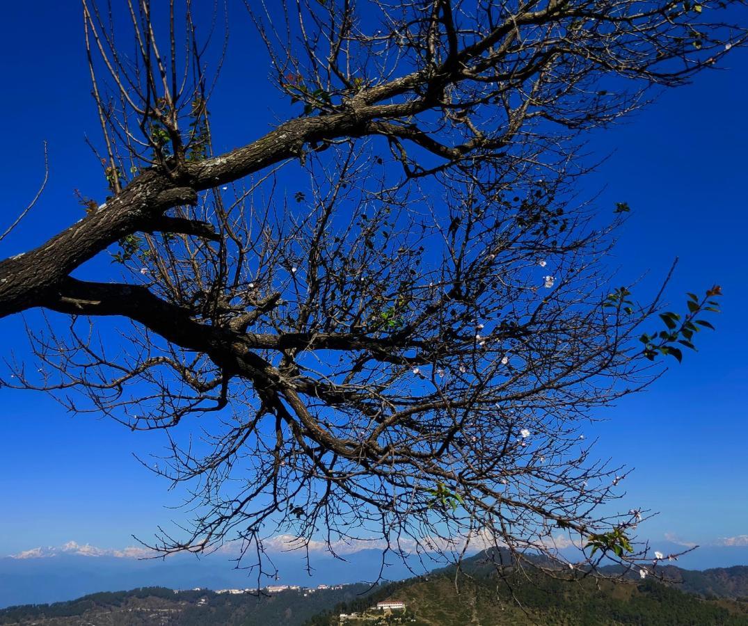 Meraki Huts Pauri Dış mekan fotoğraf