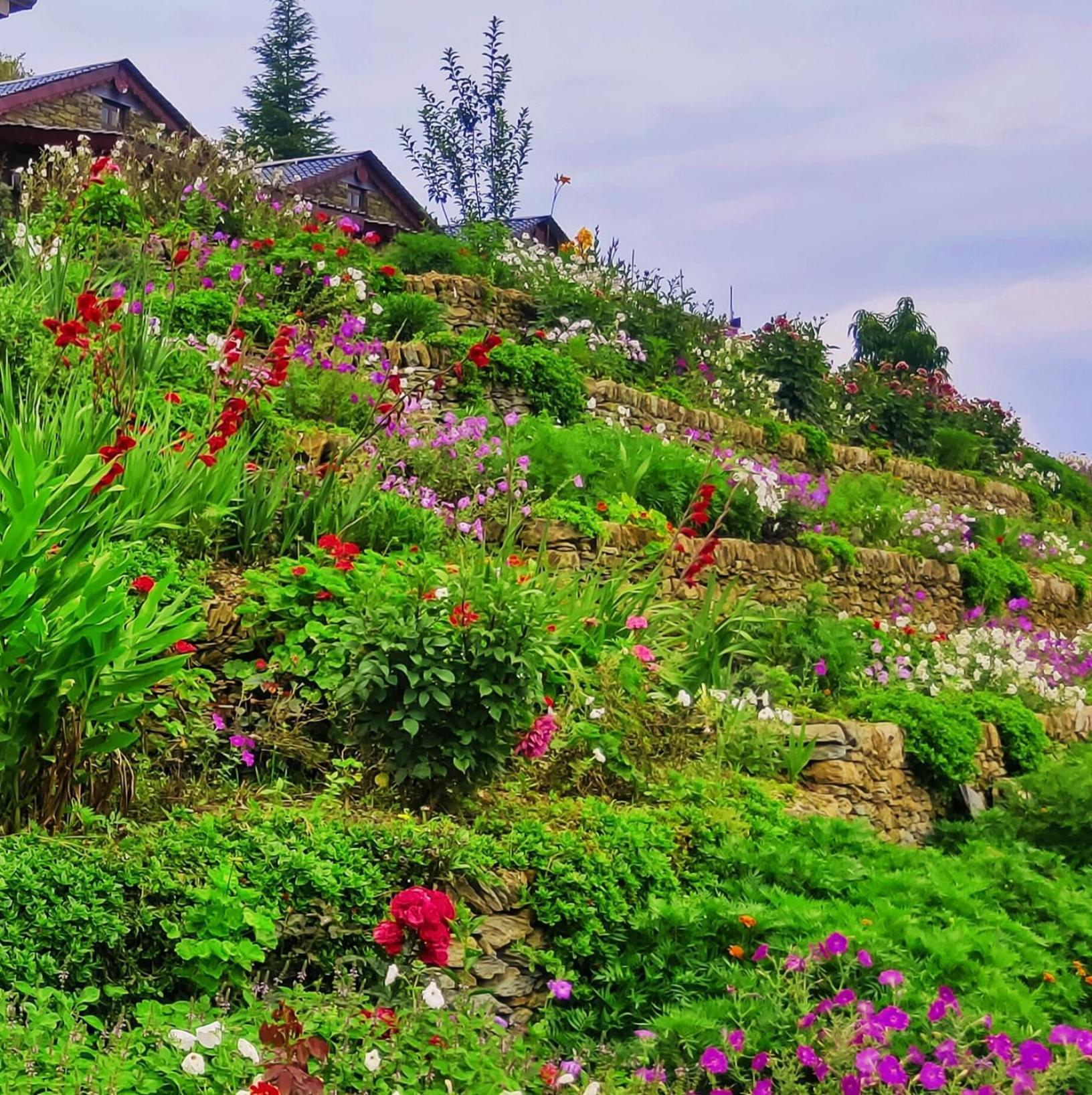 Meraki Huts Pauri Dış mekan fotoğraf